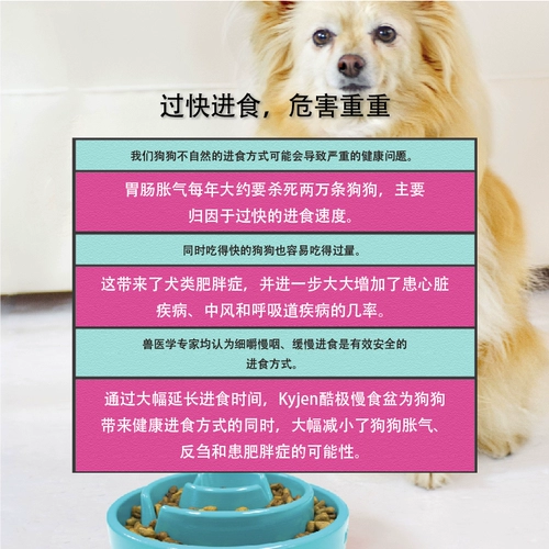 Американская классная собака Slow Food Bowl замедляется и ест, анти -перемещение, анти -вомитирование, содействие пищеварительной миске для кормов для домашних животных для собак миски для собак собаки