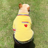 Тонкая летняя одежда, футболка polo, бюстгальтер-топ