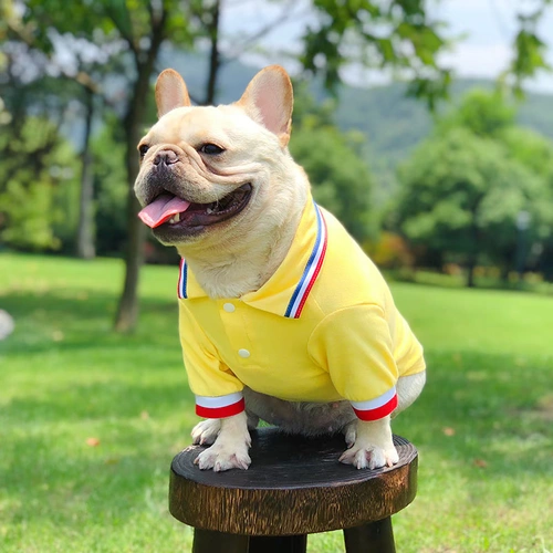 Тонкая летняя одежда, футболка polo, бюстгальтер-топ