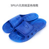 SPU blue slippers