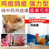 Курица с прыщами курица с китайским медицином голубь от прыщей, чтобы устранить куриные прыщи, сражающиеся на свободных куриных голубях Специальные куриные прыщи и лекарство от курицы курица прыщи