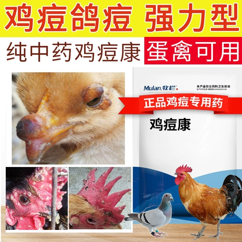 Курица с прыщами курица с китайским медицином голубь от прыщей, чтобы устранить куриные прыщи, сражающиеся на свободных куриных голубях Специальные куриные прыщи и лекарство от курицы курица прыщи