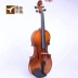 Nhạc cụ có dây kiểu phương Tây Học sinh trẻ em mới bắt đầu thực hành mục 4 4 biểu diễn đa âm thanh violin 3 4