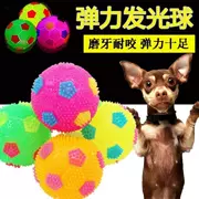 [Dạ quang] thú cưng chó bóng bóng đồ chơi mèo và chó gai bóng đá nảy bóng đào tạo cung cấp chó - Mèo / Chó Đồ chơi
