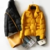 Bán chống mùa ~ một tay ~ không nhung ~ bộ đồ mùa thu đông ngắn xuống áo khoác nữ Y9016 - Xuống áo khoác
