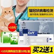 Giấy xét nghiệm mèo coronavirus Thẻ FCOV mèo viêm phúc mạc truyền nhiễm phát hiện virus FIPV giấy thử mèo - Cat / Dog Medical Supplies