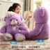 Búp bê gấu bông lớn ôm gấu bông búp bê sang trọng đồ chơi ngủ búp bê nữ quà tặng sinh nhật - Đồ chơi mềm
