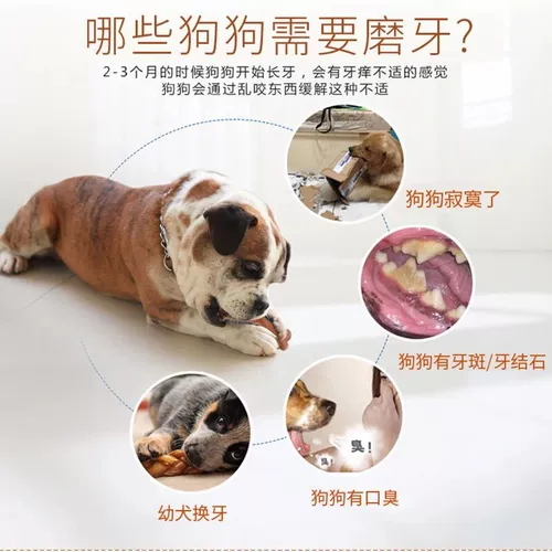 Yitte Dog Toy Toy -устойчивый