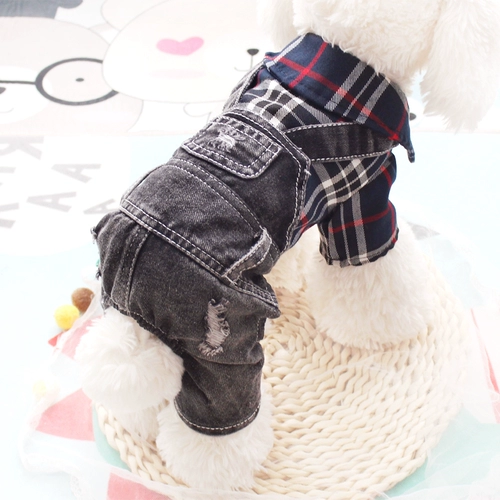 Интернет -знаменитость осень и зимний бренд клетчат