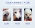 Pet dog thuốc nhỏ mắt mèo giọt mèo Teddy xé mí mắt viêm kết mạc - Thuốc nhỏ mắt thuốc nhỏ mắt cho mắt cận Thuốc nhỏ mắt