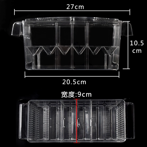 Zhenlin Aquarius, Peacock Fishfeng Tail Mary Moon Loon Light Starrow Box Incubation Box, маленькая ящик для изоляции рыбы