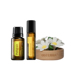 Trang web chính thức của Mỹ doterra trực tiếp bộ sưu tập bộ đồ điện ấm và giữ ẩm tinh dầu để xe ô tô 