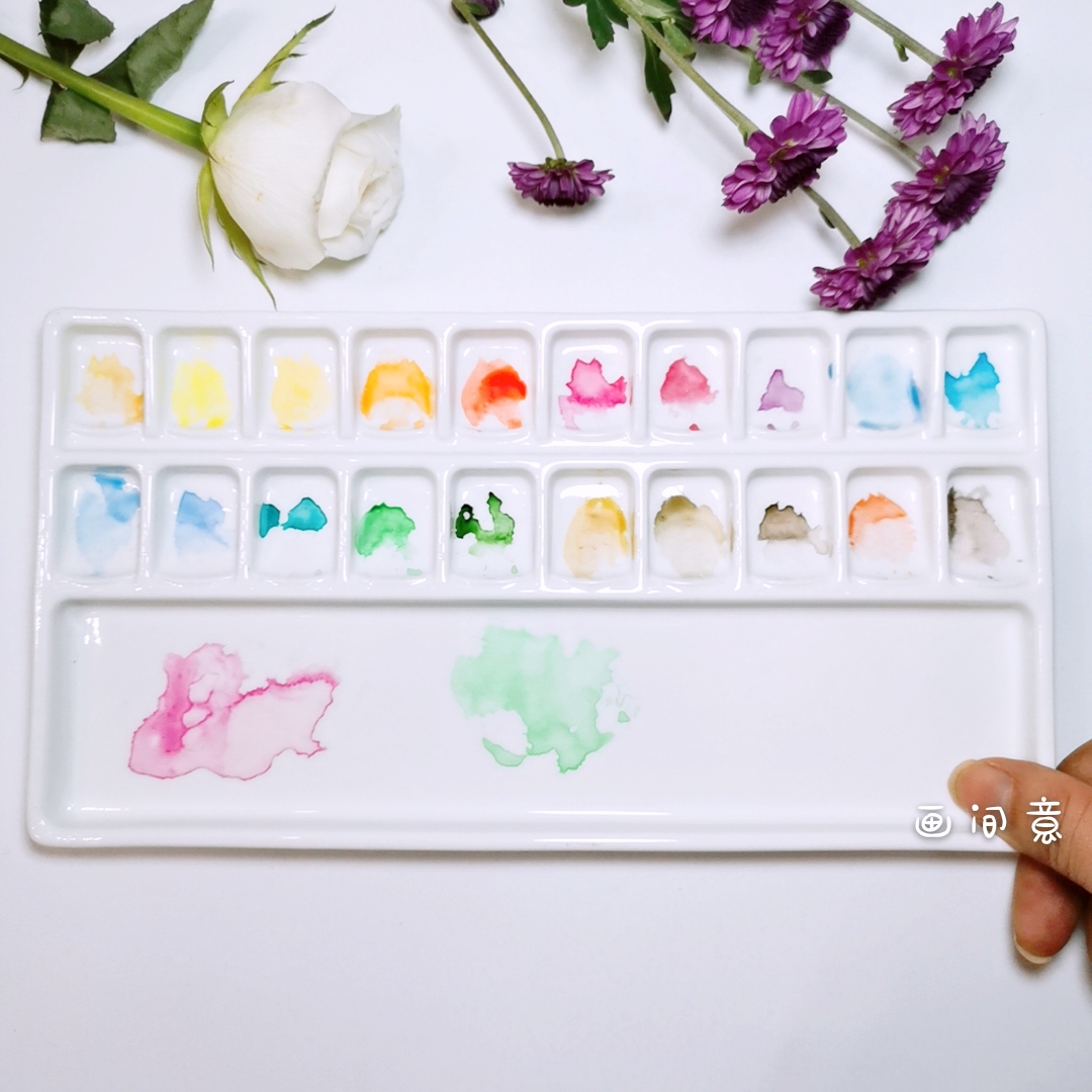 20 Style Color Plate 26.3 * 14 * 1.5CmWatercolor Palette ceramics Oil Painting Traditional Chinese painting Painting pigment white Porcelain rectangle Three grid disc rose Palette