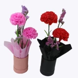 Бесплатная доставка Цвет Тонкие морщины, Учитель Кан Найсин 38 День Матери Простой ручной класс DIY Операционный материал