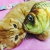 Catnip cỏ cá con chó gối gối mèo đồ chơi mèo gối vật nuôi đồ chơi mèo gối điên mèo cá đồ chơi đồ chơi cho mèo cào móng Mèo / Chó Đồ chơi