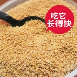 Ручунбао фермерская пасьянсная курица куриная курица дает рожденную, кормление, куриная утка, утка, гусы