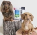 Nhật bản Nippi Collagen Peptide Dog Chăm Sóc Khớp Da Không Tóc Dài Sản Phẩm Sức Khỏe 40 Gam Dog Cat Phổ