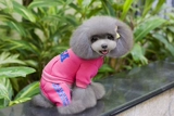 Pet New Dog Clothing Teddy Bargain Puppy осень и зимняя четырехлетняя спортивная одежда для спортивной одежды с четырьмя грудными хлопковыми свитерами.
