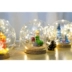 Crystal Ball Light Hướng dẫn DIY Micro Cảnh Hoàng tử bé Sen Deer Long Cat Lovers Sinh nhật Giáng sinh Quà tặng Đêm Ánh sáng Trang trí - Trang trí nội thất Trang trí nội thất