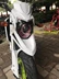 Ít khỉ msx125 Wangjiang con búp bê lớn xe máy m3 sửa đổi Xenon đèn pha lắp ráp đôi mắt thiên thần đèn ống kính Đèn HID xe máy