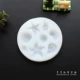 Conchiel Shell