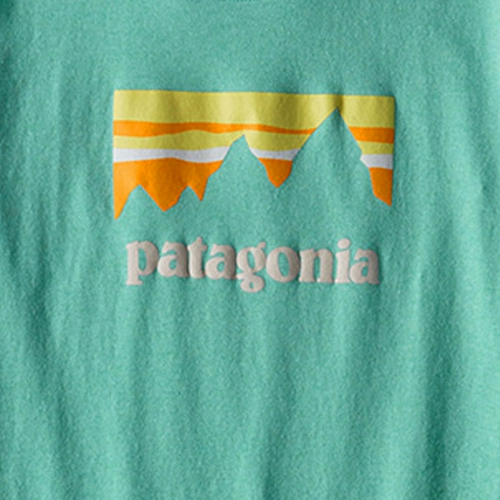 Patagonia Battanian короткая