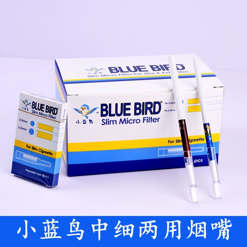 Птичьи сигаретные моллюски фильтровали искреннюю новую маленькую синюю птицу среди маленьких голубых птиц, сигаретный рот рот мужчинам курили курение