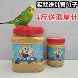 A21Kt0 Parrot Whirlwind Маленькие и мелкие федералы монаха монаха молока, чтобы обогнать лилию солнце.