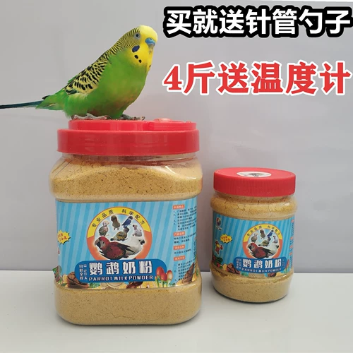 A21Kt0 Parrot Whirlwind Маленькие и мелкие федералы монаха монаха молока, чтобы обогнать лилию солнце.