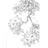 Электронная версия картинка цветок, цветок, птица, птица и птица белый рисунок, драфт, гонгби рисунок китайская линия рисования рисование практические материалы