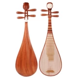 Куриное крыло древесины Pipa Resewwod Test -Редакция обучения для взрослых Pipa Instruments Redwood Куриные крылышки Wood Pipa