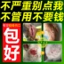 Pet mèo và chó vết thương loét kem chữa bệnh Bending Jin Phường chống viêm da phẫu thuật vết thương da mủ đến cơ hoại sinh - Cat / Dog Medical Supplies Cat / Dog Medical Supplies