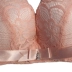 Thêm dày 5 cm Qianyi áo ngực truy cập chính hãng một tách ngực phẳng ngực nhỏ mm thu thập điều chỉnh đồ lót 9148