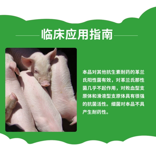 Beast -for -Sipharite Пред -гибридный премикс очистка свинины синего цвета.