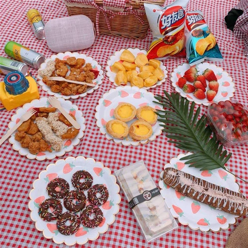 Xiaohongshu одноразовый дикий пикник поставляет посуду для вечеринки фруктовые пластинки