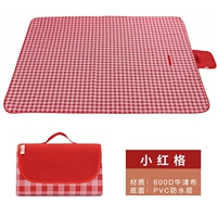 Интернет -знаменитость INS Picnic Cushion