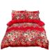 Cotton chà bông bốn mảnh Cotton 1,8m nhà dệt đôi đơn giản dày chăn ga trải giường 2.0m đặc biệt cung cấp chăn ga forever Bộ đồ giường bốn mảnh