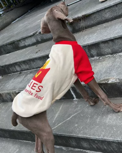 Собака для любимой собаки большая одежда для собак круглой шеи цвета воротнич