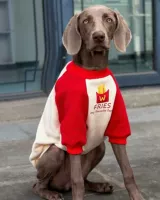 Фри с красной булавкой ((добавьте бархат)