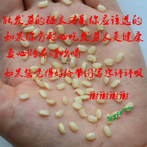 Северо -восточный баннер Jilin Brown Rice 500 г высококачественных рисовых фермеров Japonica Farmers и грубых зерен прорастает новый рис полная бесплатная доставка