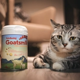 Одноклассник Dabao Австралия Petsbuddy Cat Sheek Milk Богатый таурином и многими питанием