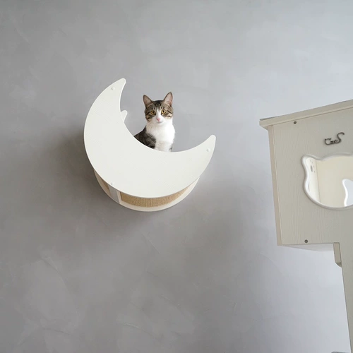 Кошки кошка стена Starry Sky Series Wall Moon Cat West Cloud Duo Duo Cat Star Star Cat Pillar Pillar Cat Jumping Sworksman