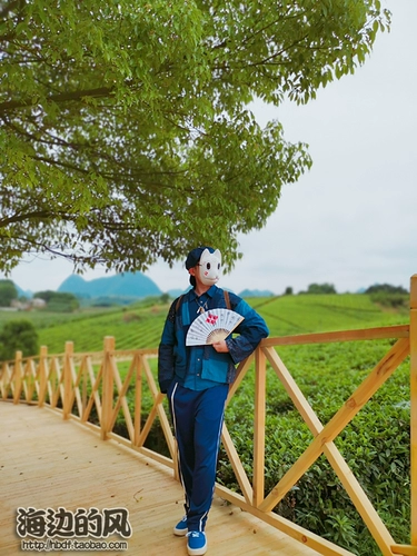 Рекламные японские фанаты складывания фанатов История войны национальная модель басара Ветром Форест Вулканы Тлкана шесть