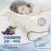 Giấc ngủ Tiến sĩ Không gian Bộ nhớ Bông Gối Bảo vệ chậm phục hồi Gối cổ tử cung Sức khỏe Massage Sức khỏe Gối Cao su - Gối
