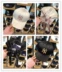 Hàn quốc MLB quầy xác thực 2018 new satin ren bow ribbon trắng mũ bóng chày cap Bóng chày