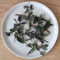 1 ｛｝ 2021 [тихо] Лаошан Белый чайный чайный сад чисто