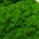 Порошок зеленой травы темно -зеленый 5 юань 30 грамм