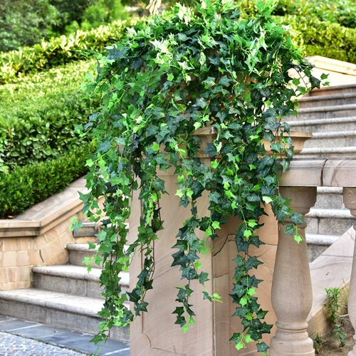 Моделирование changchun vine plant wanging wanging green slaining fake flower -vine