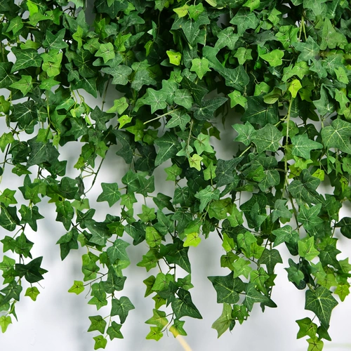 Моделирование changchun vine plant wanging wanging green slaining fake flower -vine