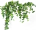 Mô phỏng hoa hồng lá cây mây điều hòa không khí trang trí ống giả hoa nho cây nho nhựa cây xanh lá cây xanh lá cây - Hoa nhân tạo / Cây / Trái cây